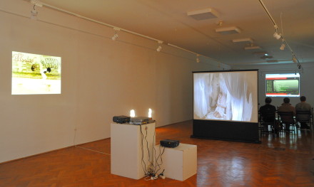 Projections at Arad Art Museum - 31 March -2 April 2011